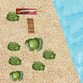 Projects: Food for Thought